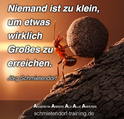 Niemand ist zu klein, um etwas wirklich Großes zu erreichen. - Jörg Schmietendorf